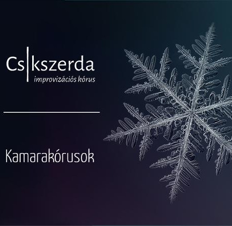 cover_csikkamaraejfelirizs_uj kiemelt